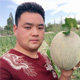 西域辉腾