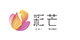 彩芒电子商务