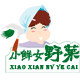 小鲜女野菜的LOGO
