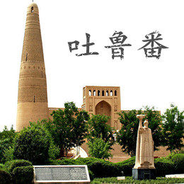 吐鲁番零食的LOGO