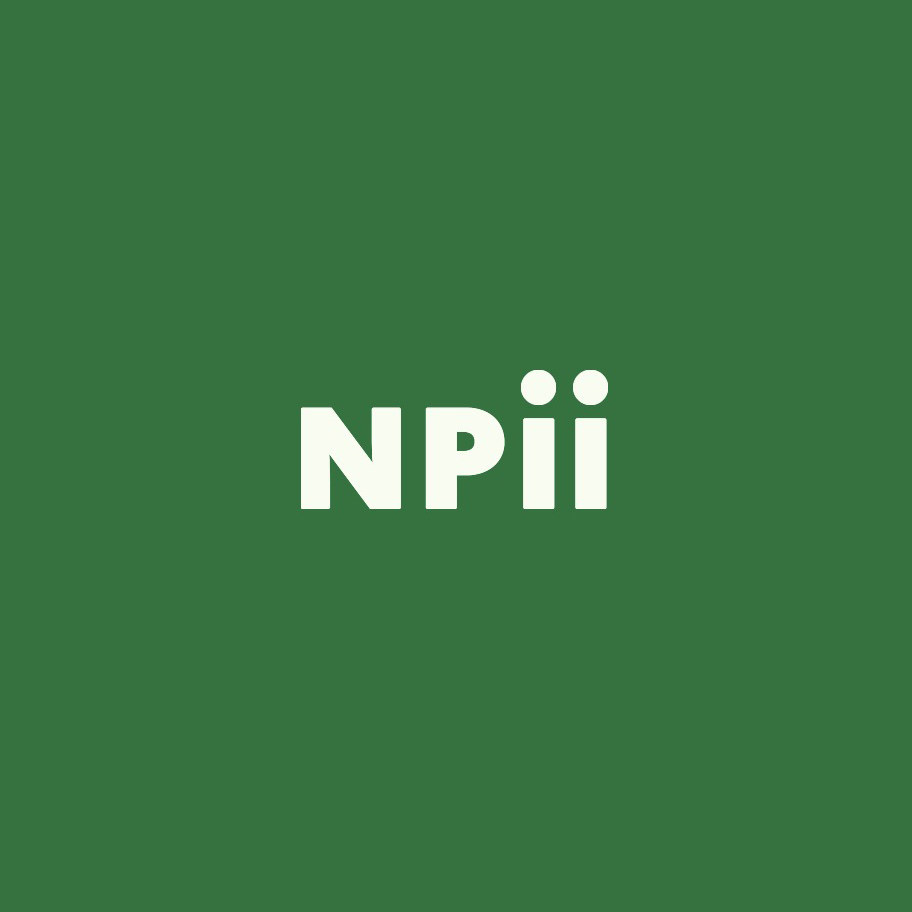 NPii森山半夏概念店的LOGO