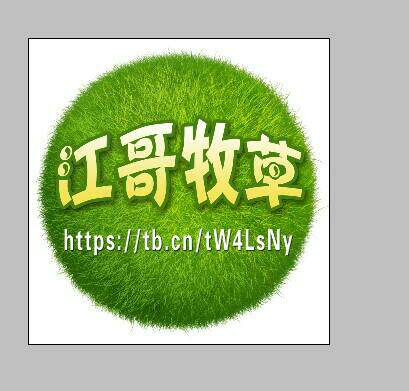 江哥牧草农业科技示范园