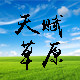 天赋草原特产