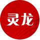 灵龙食品专营店
