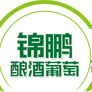 锦鹏葡萄