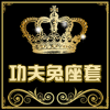 天诚飞越汽车用品的LOGO