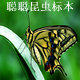 聪聪昆虫的LOGO