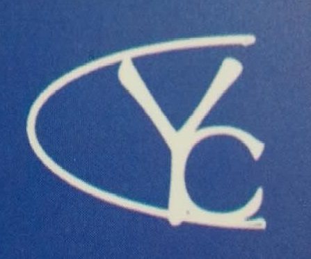 雨辰丝网的LOGO