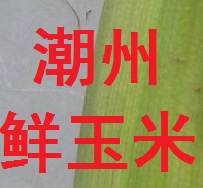 潮汕农家l特产