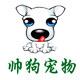 帅狗宠物