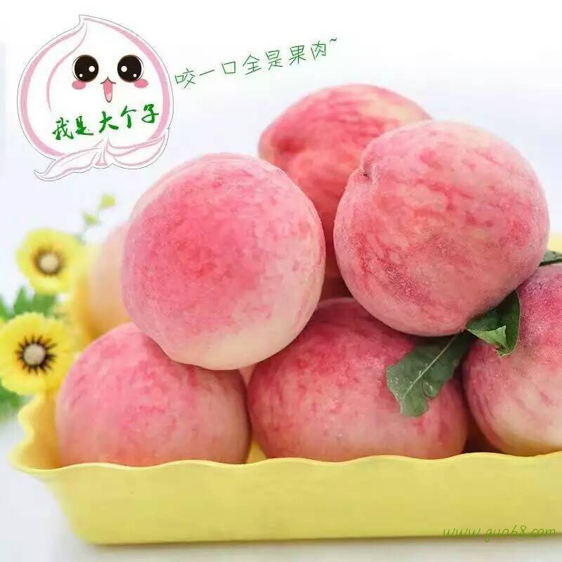 林子农产品直销店的LOGO