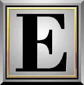 E品眼镜的LOGO