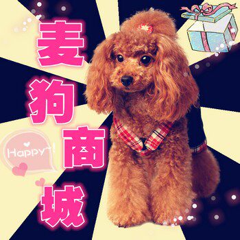 麦狗商城