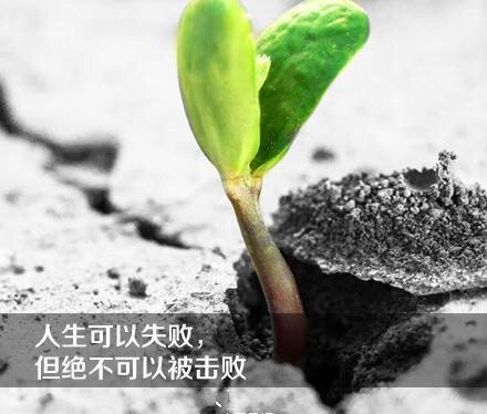 秀域女装