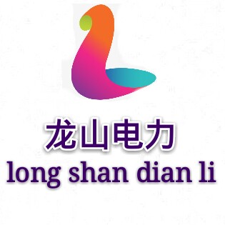 山东龙山电力安防