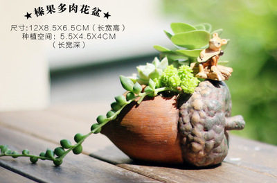 子木多肉微景观花器坊