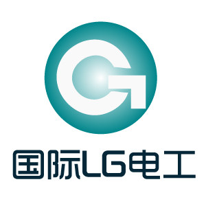 国际LG电工