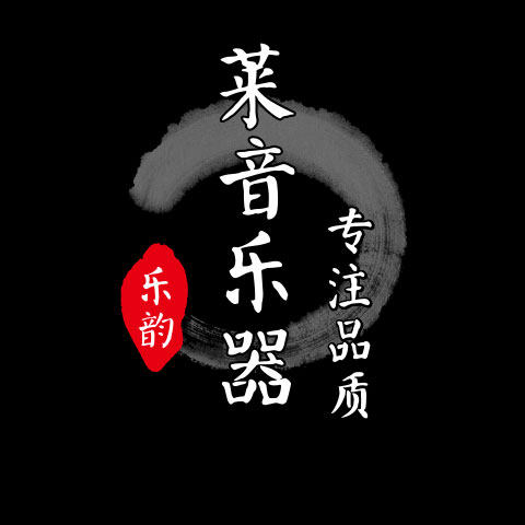 莱音乐器专营店