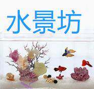 水景坊水族店的LOGO