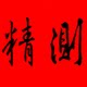 精测光栅数显的LOGO