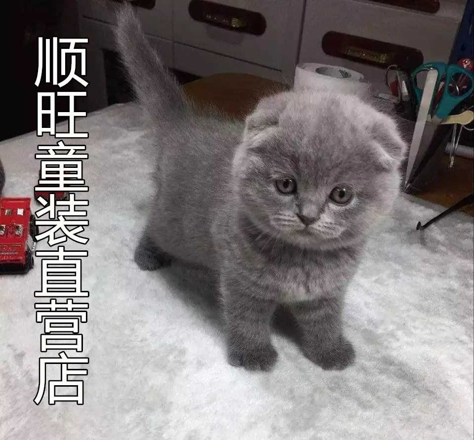 顺旺家居精品的LOGO