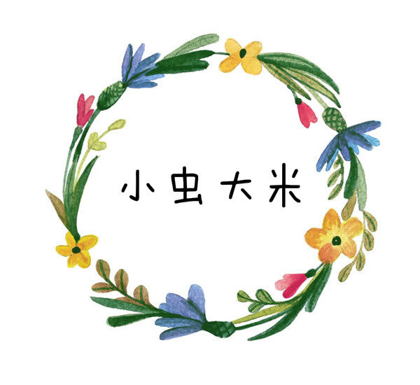 小虫大米童装