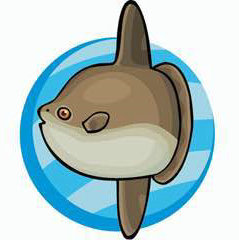 Sunfish旅行生活