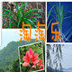 江南花语淘淘乐的LOGO