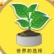 哆哆植保站
