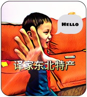 译家东北特产的LOGO