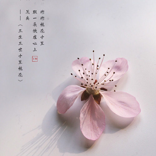 十字绣总店的LOGO
