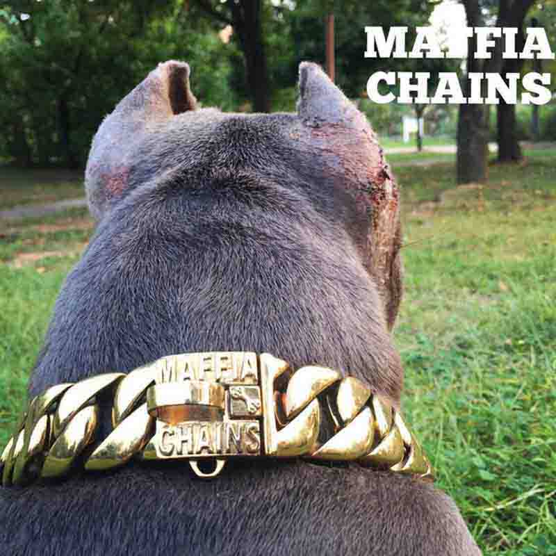 MAFFIA高端犬具