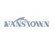 fanstown旗舰店的LOGO