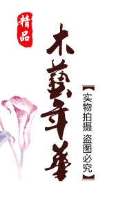 木艺年华红木工艺品