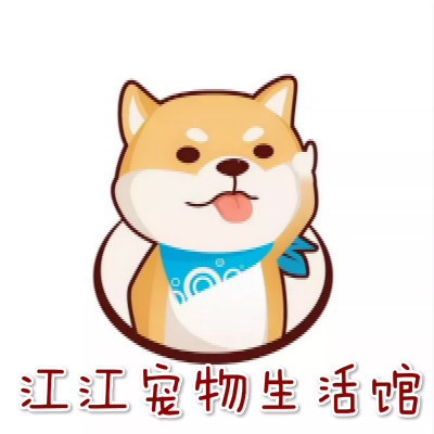 江江宠物生活馆