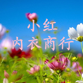 小红内衣商行