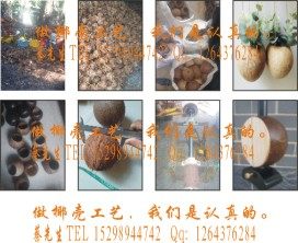 海南文昌椰子制品厂