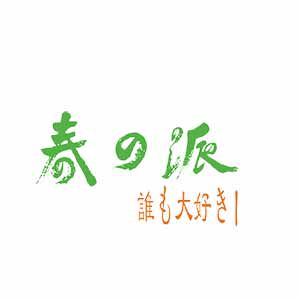 春派箱包定制