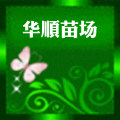 华南绿化苗木基地