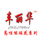 车丽华汽车彩条
