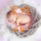 家娃母婴