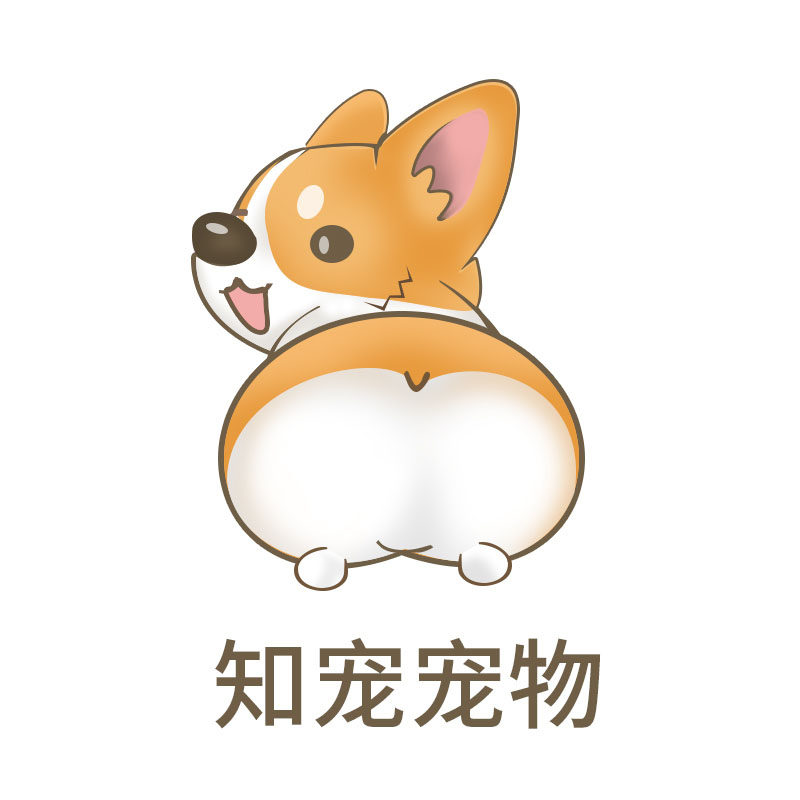 知宠宠物企业店