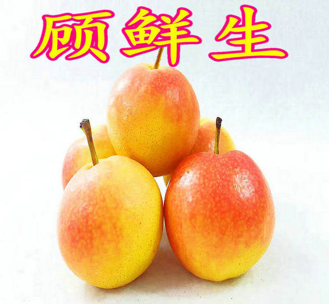 顾鲜生  东北特产