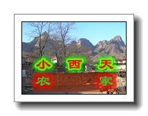 小西天农家