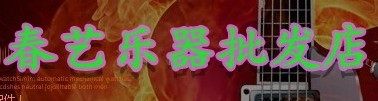春艺乐器批发总店