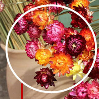 花花世界欢迎您的LOGO