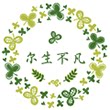 尔生不凡 头纱
