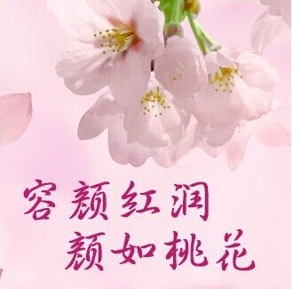 滋补养生会馆