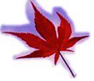 乐麦羊绒衫羊毛衫批发零售的LOGO