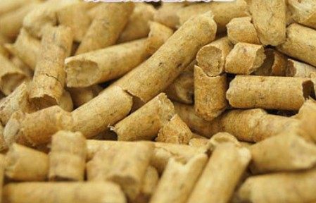 格瑞恩松木猫砂的LOGO
